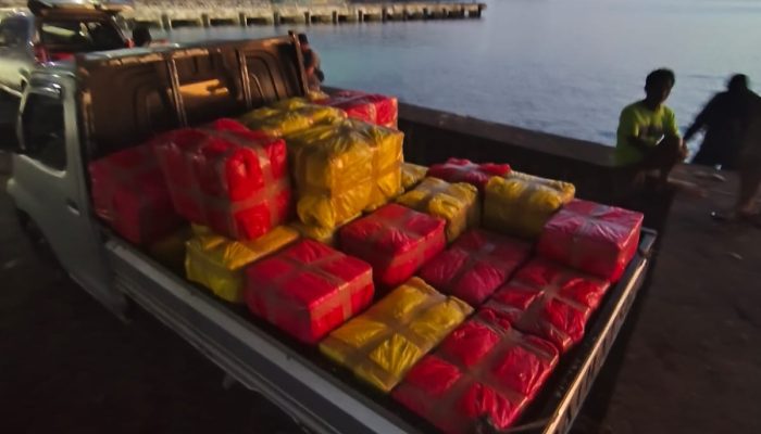Penangkapan Kosmetik Ilegal Jenis Cream Brilliant Asal Filipina Dalam Operasi Gabungan TNI – Polri