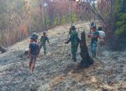 Babinsa Kodim 1301/Sangihe Pantau Pasca Kebakaran Lahan di Kaluwatu, Api Dipastikan Padam
