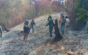 Babinsa Kodim 1301/Sangihe Pantau Pasca Kebakaran Lahan di Kaluwatu, Api Dipastikan Padam