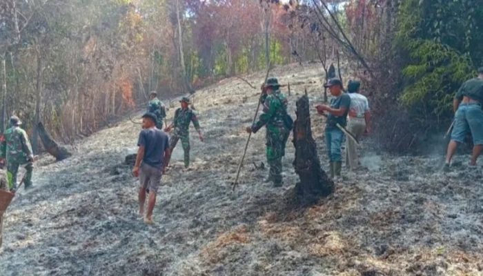 Babinsa Kodim 1301/Sangihe Pantau Pasca Kebakaran Lahan di Kaluwatu, Api Dipastikan Padam